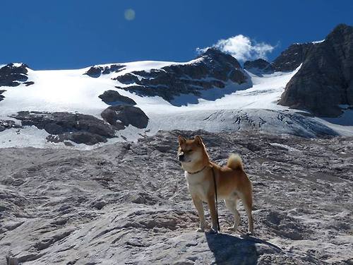 中国篮球场馆运营商业模式是否可持续，篮球馆市场容量或变化趋势
