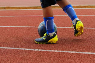 开云体育中国官网-明星球员带动体育产业发展，打造体育明星的弊端