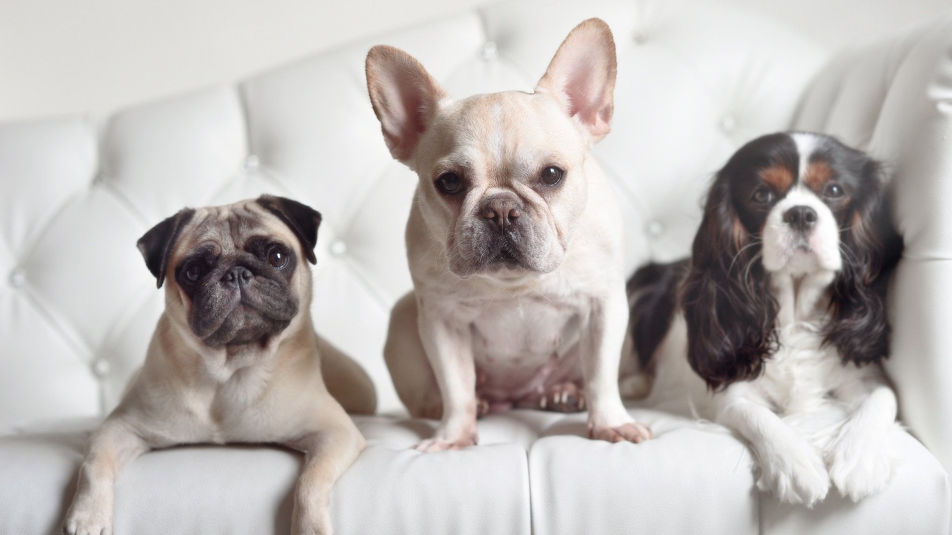 开云·Kaiyun网页版-比赛节奏管理是否能成为数据分析新方向，什么是比赛节奏