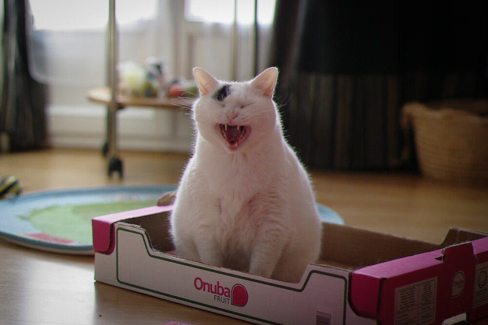 中超俱乐部启动青训家长会加强家庭沟通机制，足球队家长会教练讲什么