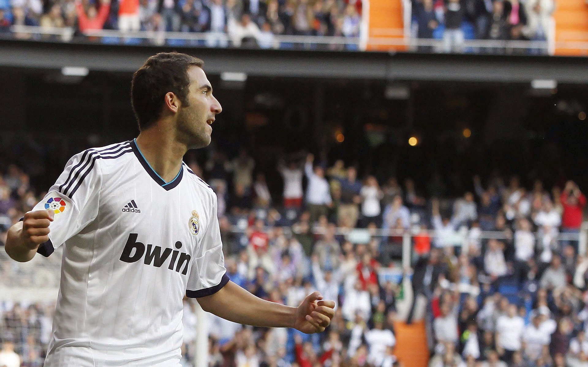 女子排球选手征战海外联赛表现稳定，谈论国际女子排球的海报的对话